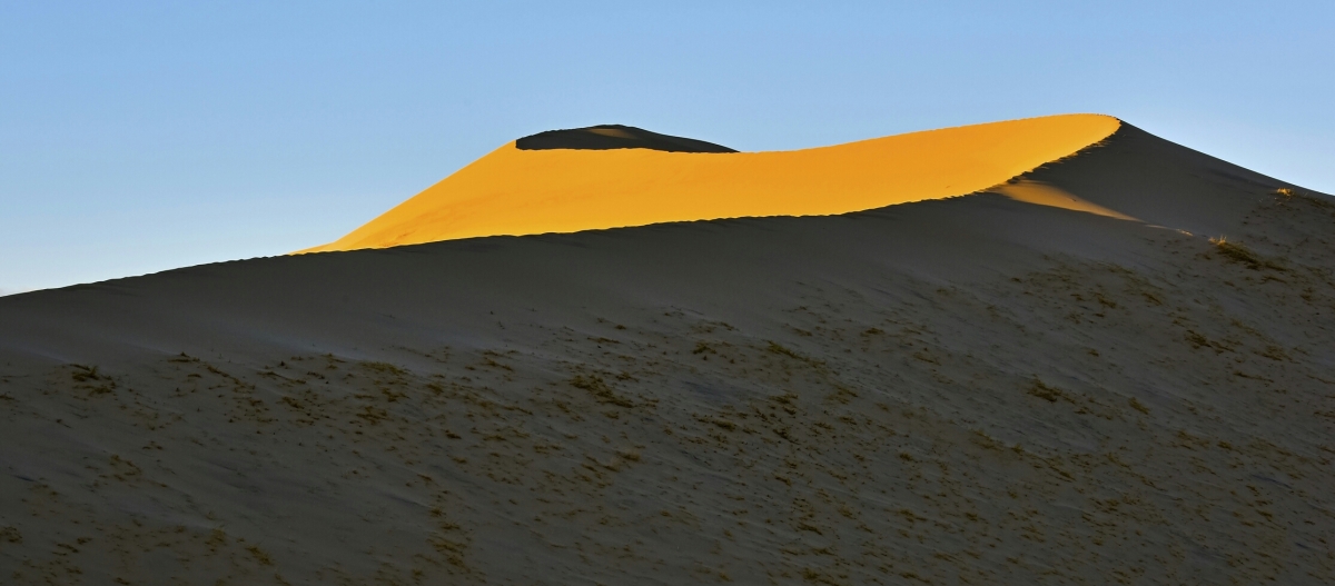 DSC_7667 PS Crop1 2650px-2.jpg : Light and Shade