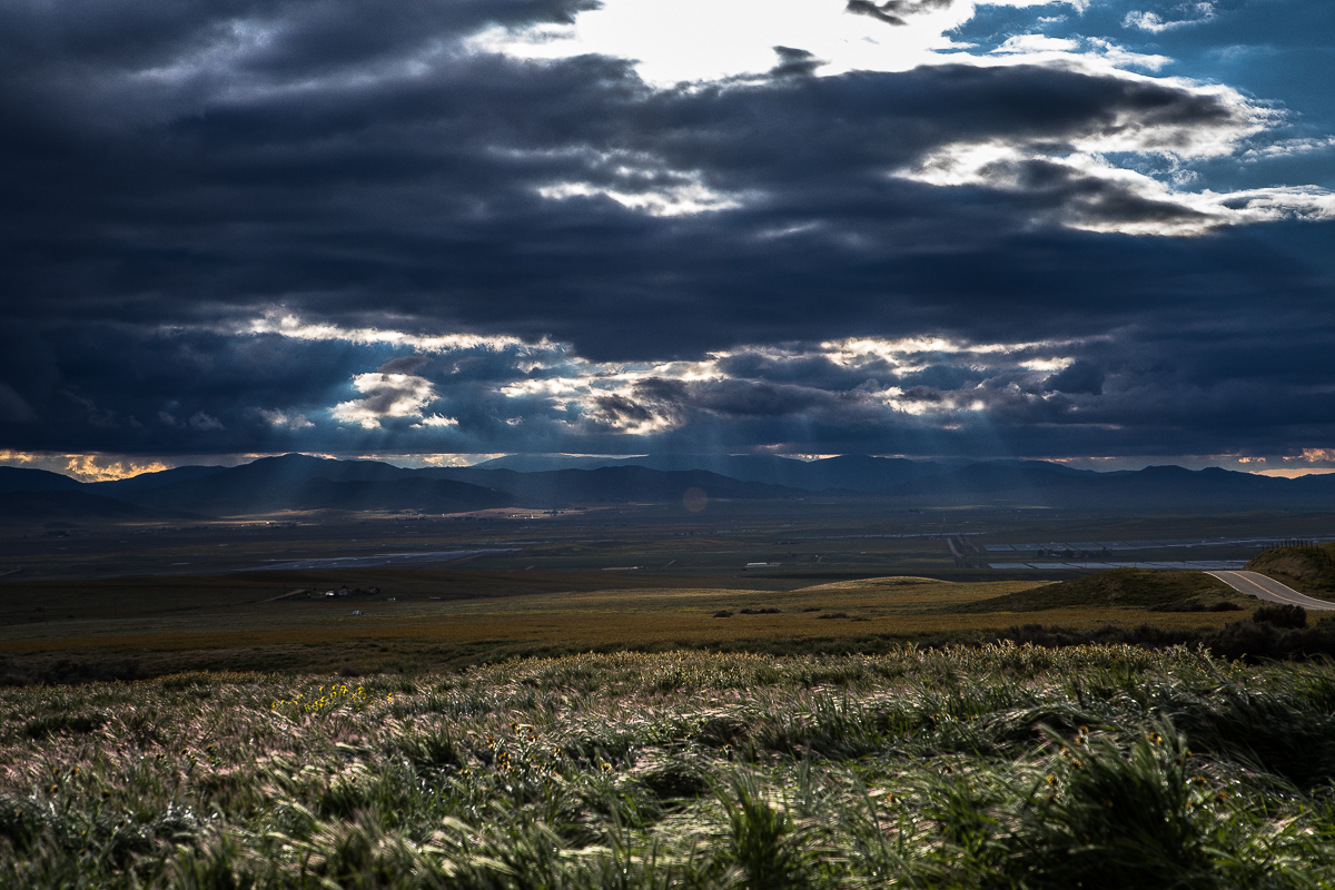 EOS 5D Mark IV_3250.jpg
