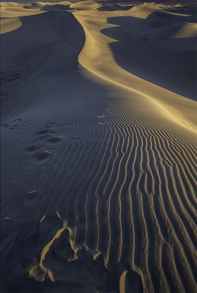 _DSC7242. brightjpg. final1jpg.jpg : First light