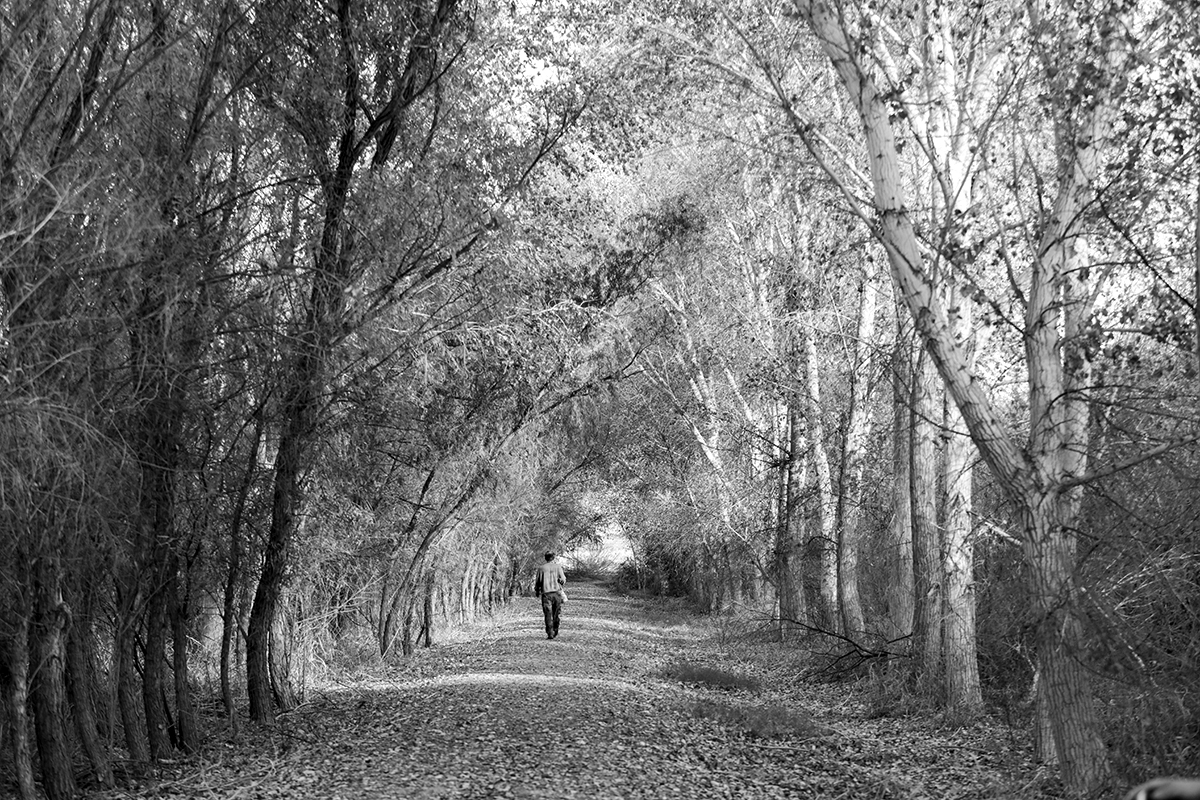 7S5A0266-1b.jpg : Solitary Man