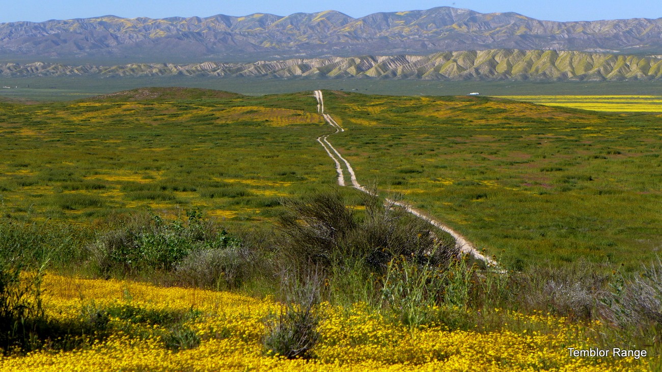 2-L1070962.jpg : Road
