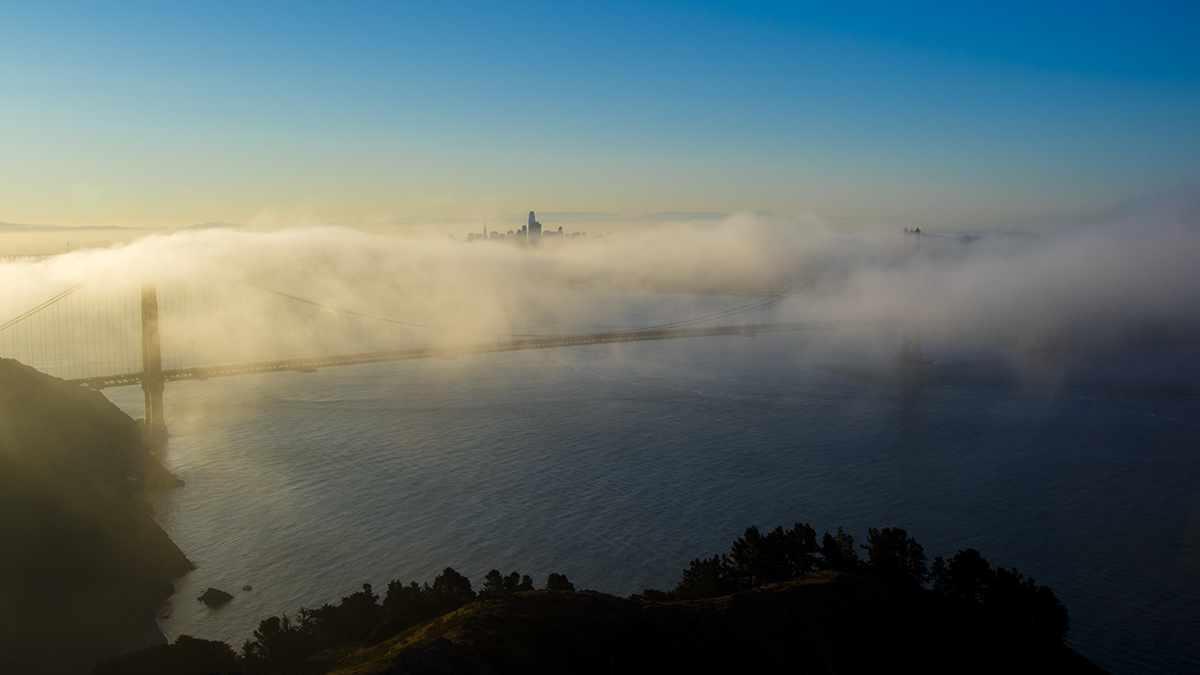IMG_1099-1.jpg