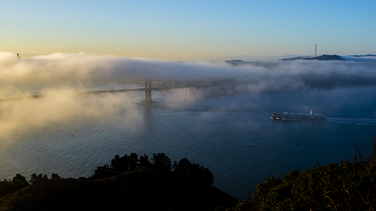 IMG_1087-1.jpg