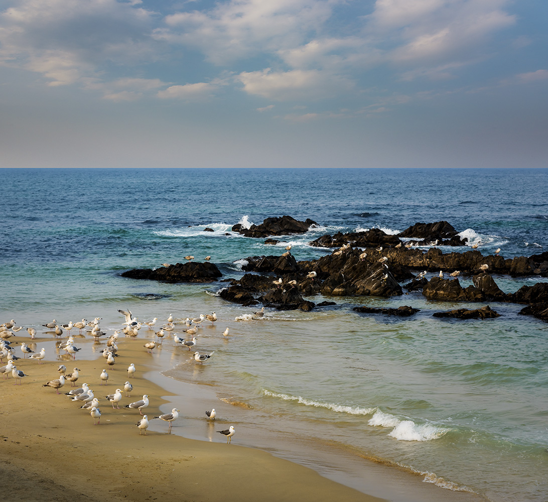_YJL2524rnhsms.jpg : 바다, 그 이야기