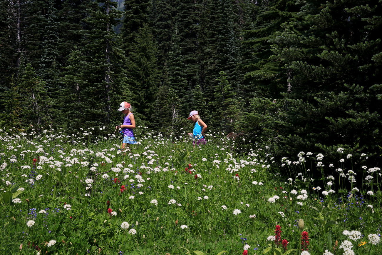 745A2881-1.JPG : Mt. Rainer NP