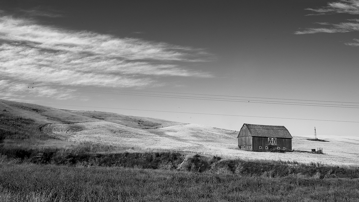 7S5A0957-3a.jpg : 7월의 Palouse 2