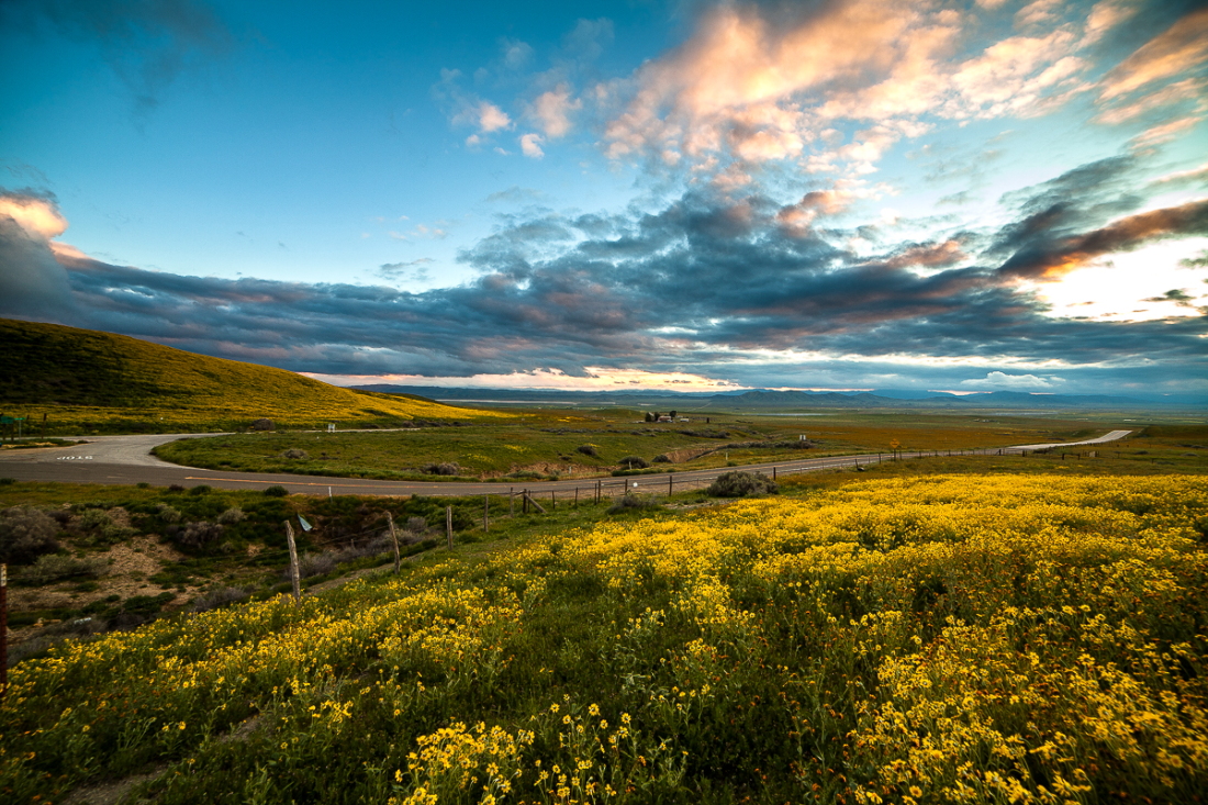 EOS 5D Mark II_15481-1.JPG
