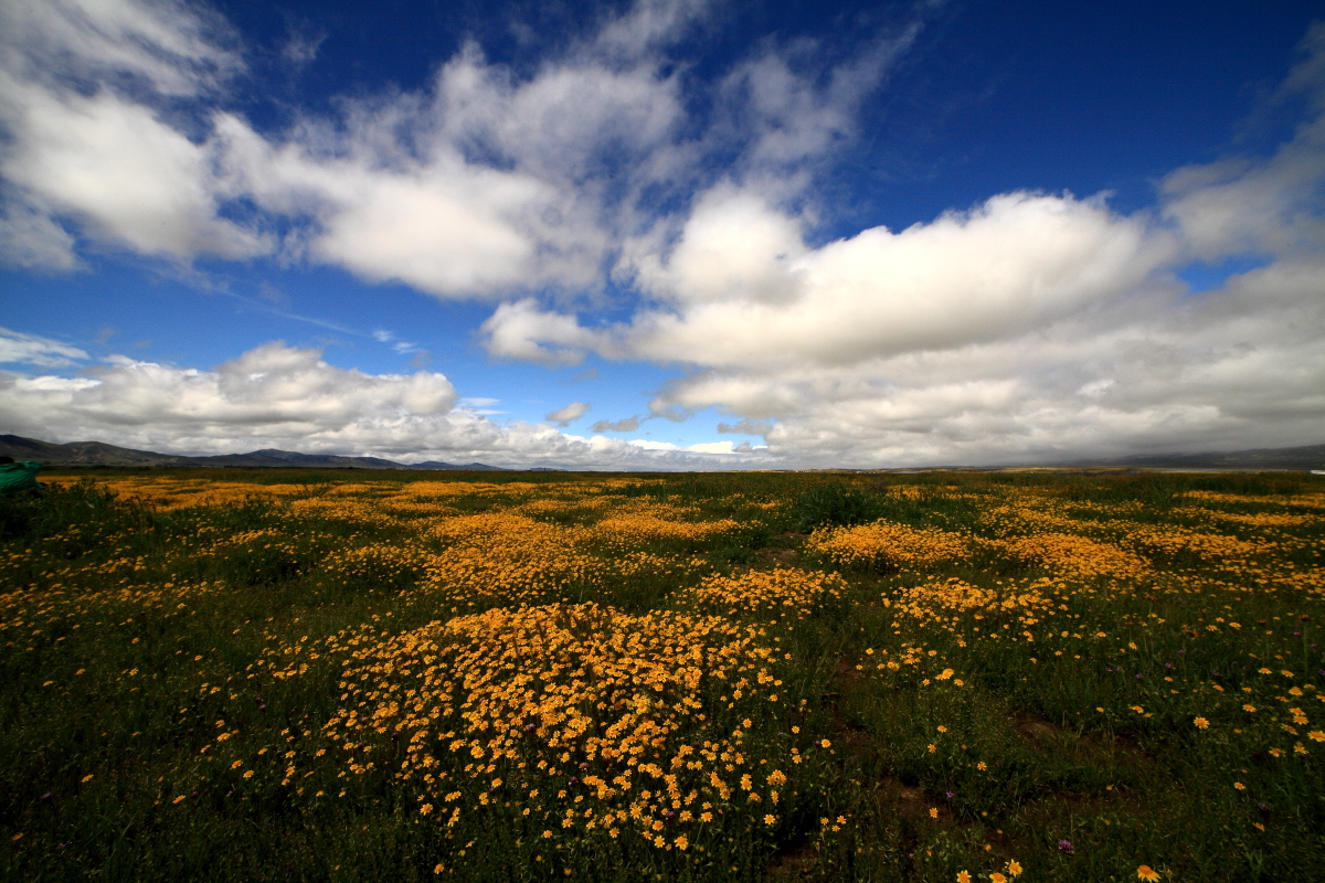 EOS 5D Mark II_15257.JPG
