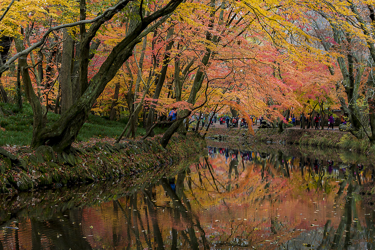 _YJL1227rhss.jpg : Autumn Impression 4