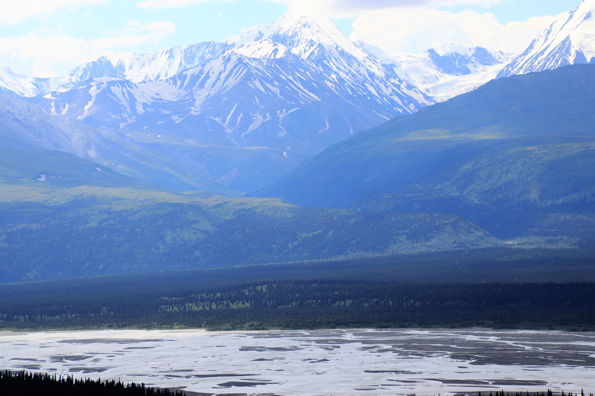 452A2476 (2).jpg : Denali National Park & Preserve