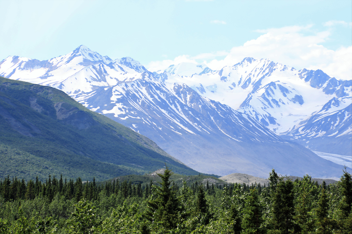 452A2492 (2).jpg : Denali National Park & Preserve