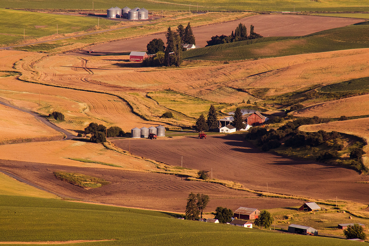 IMG_9048-1b.jpg : Beauty of Palouse