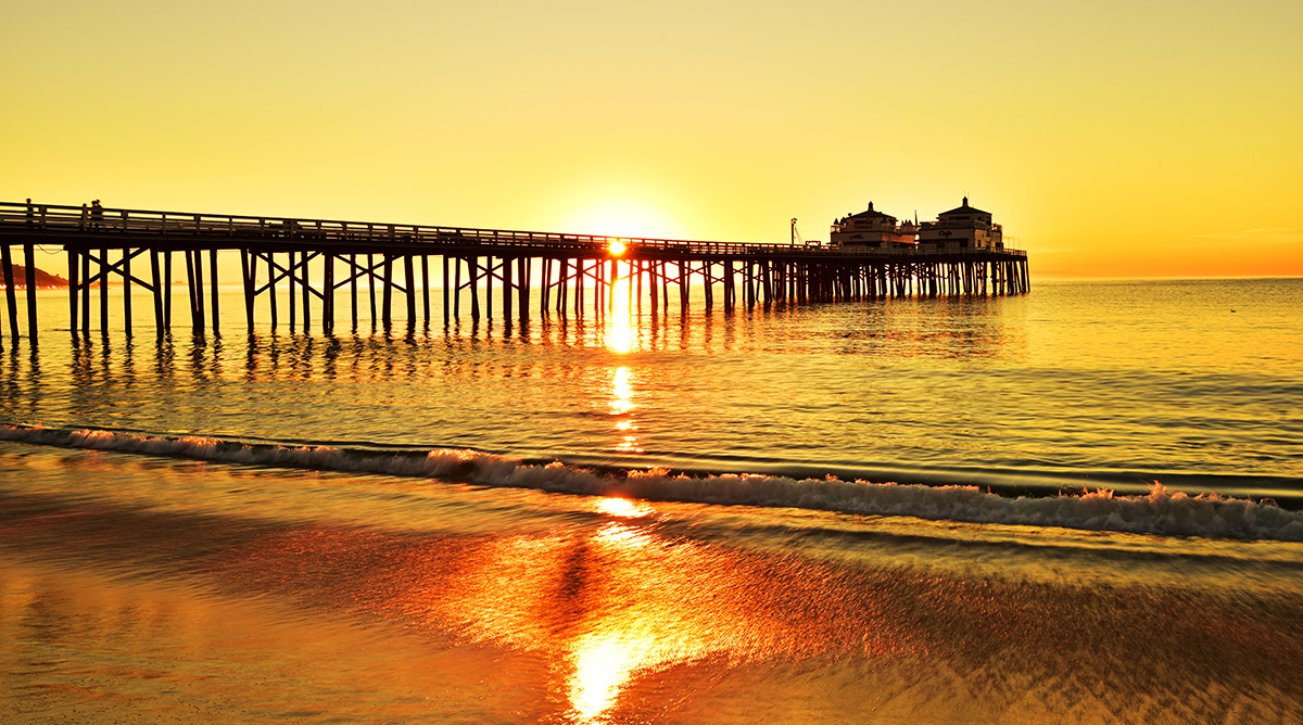 DSC_8884 PS Crop dkr 1200px.jpg : Bright Golden Morning