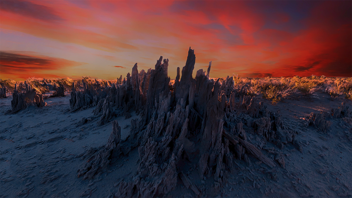 DSC_5291low light. 500jpg.jpg : Sand Tufa