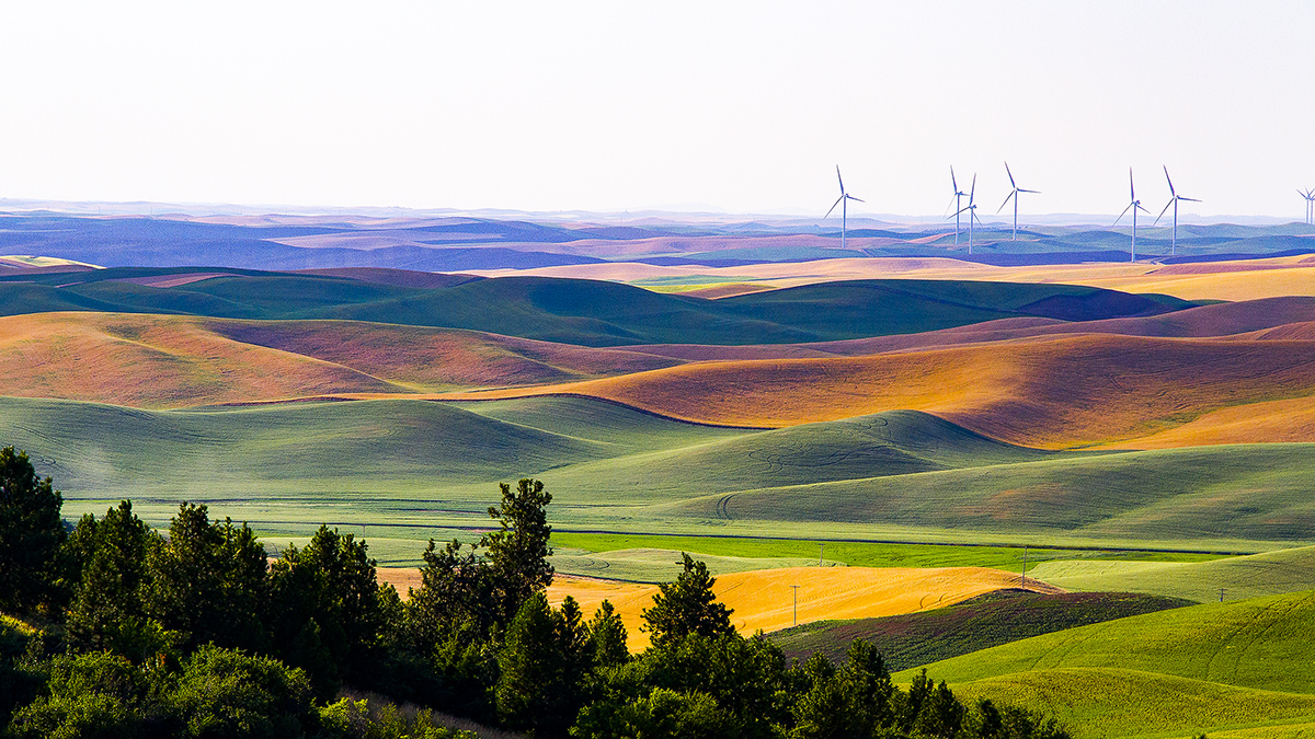 _MG_0187-1a.jpg : Rainbow of Palouse