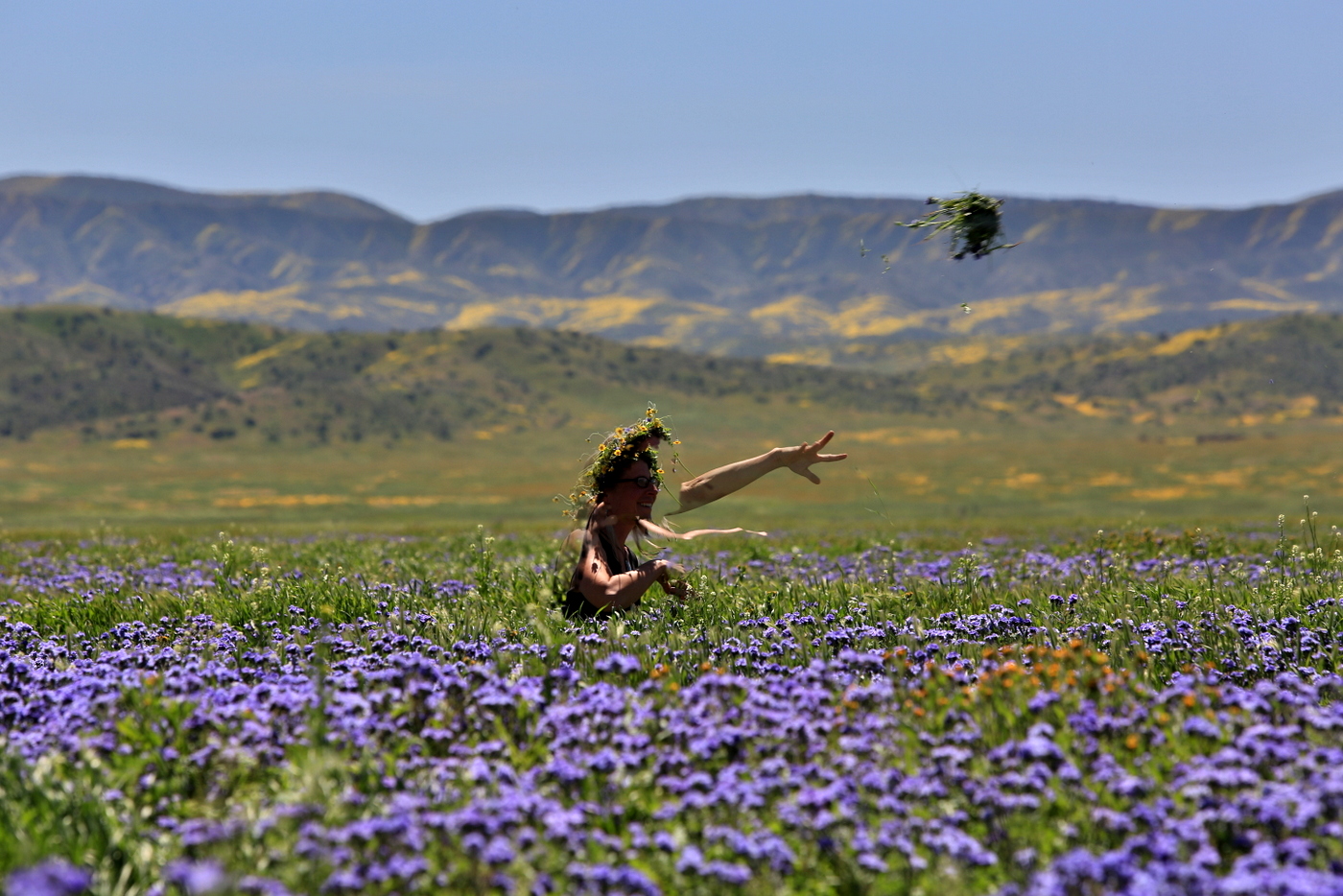 1-745A9410.JPG : Fields