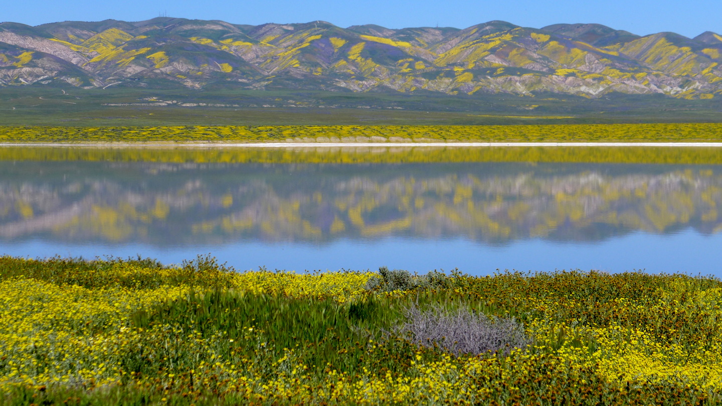1-L1070926.JPG : Fields