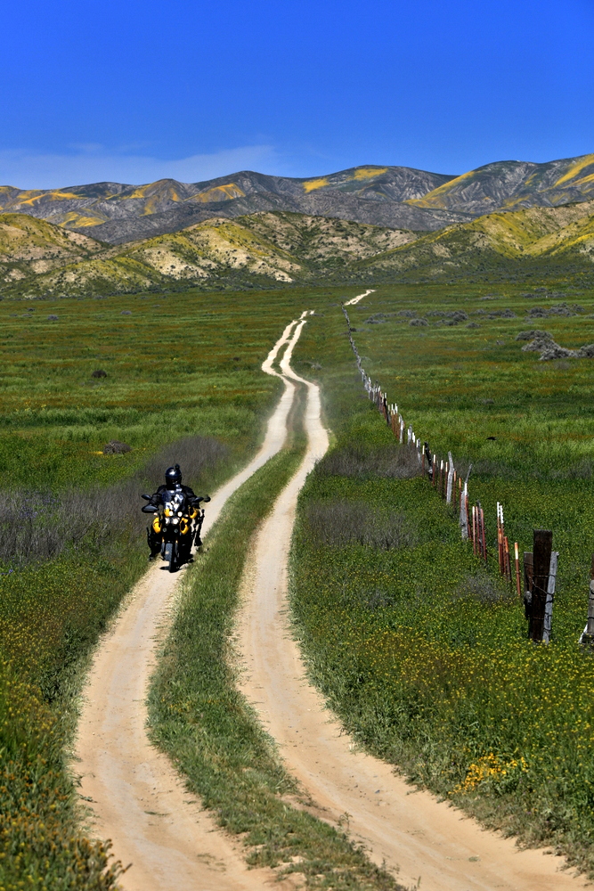 1-745A9393.JPG : Fields