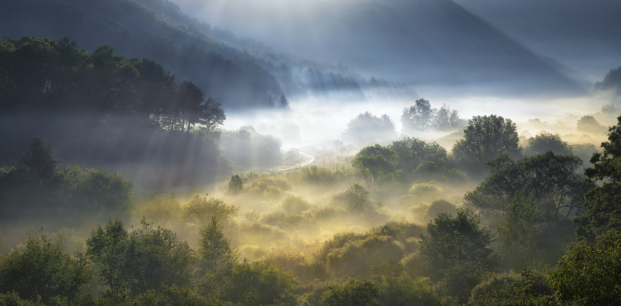 157973271-garden-of-dreams.jpg : Garden of Dreams