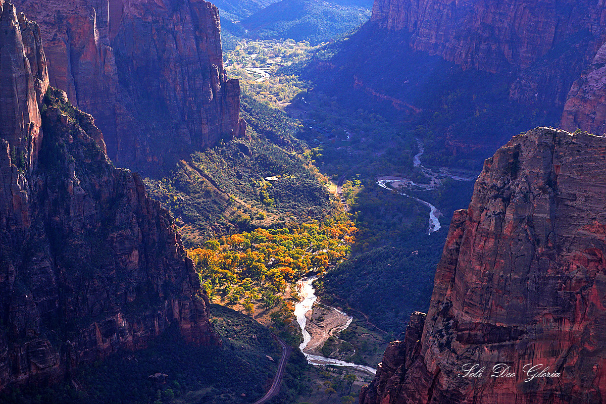 DSC09142-c.jpg
