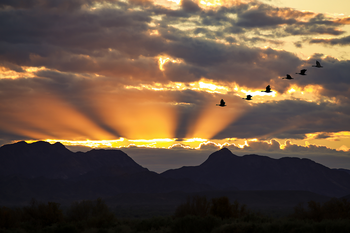 7S5A0698-1a.jpg : Cibola의 Sunset, Sunrise