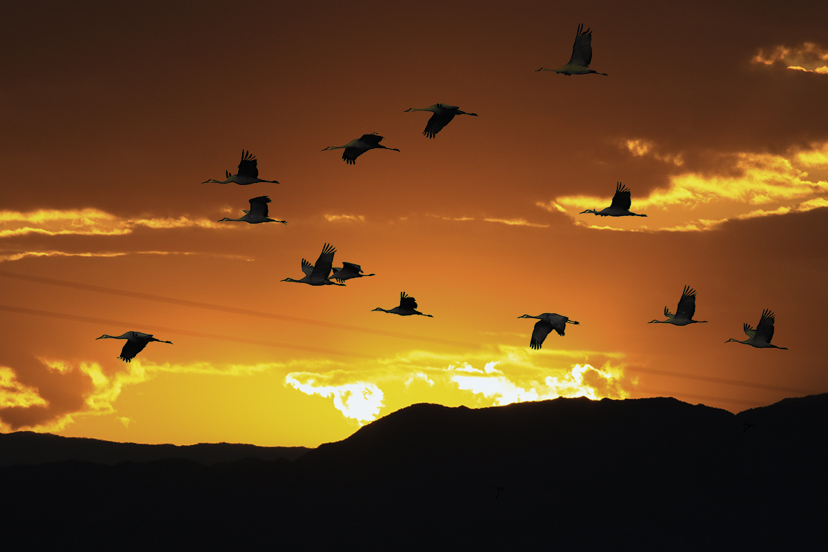 5I4A3617-2a.jpg : Cibola의 Sunset, Sunrise