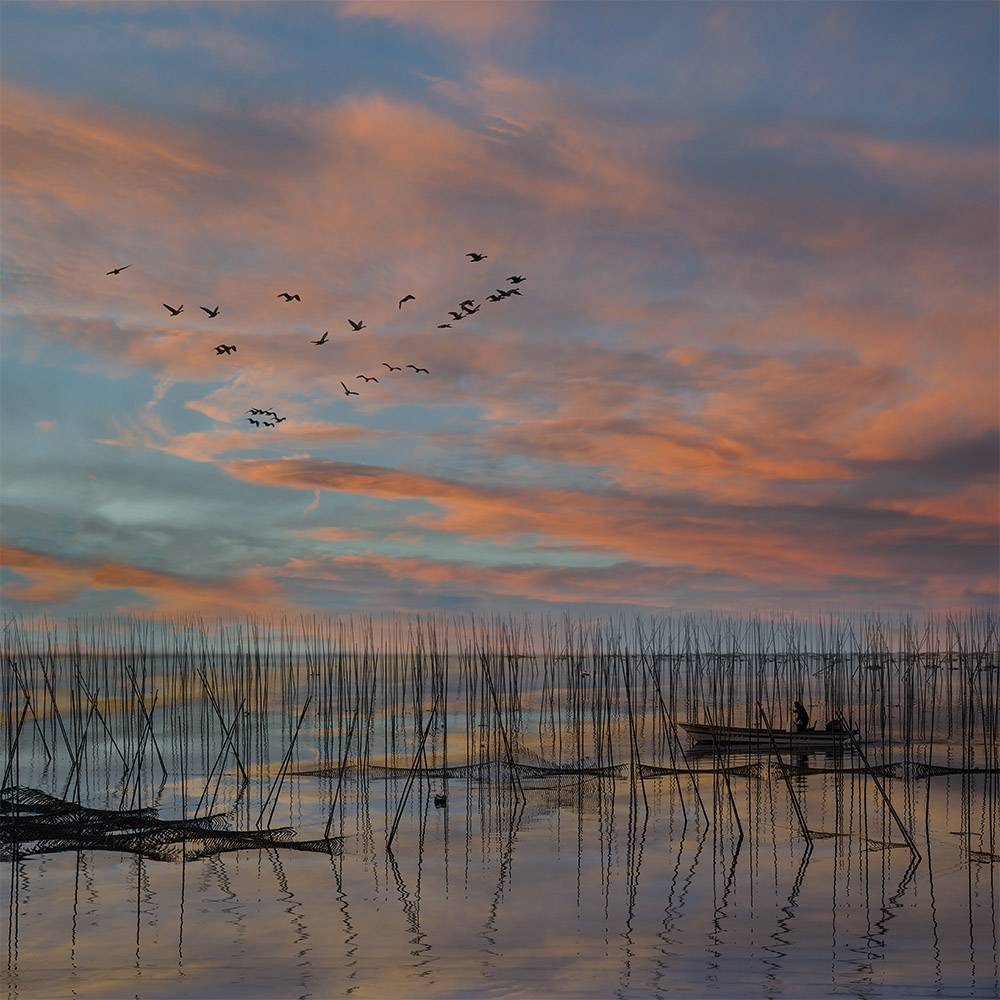 11_YJL5892rcbwfdrrmrs.jpg : Sea Farming
