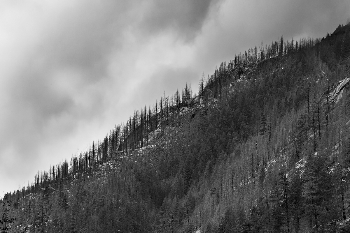 W62A0656-1b.jpg : North Cascades National Park@Washington