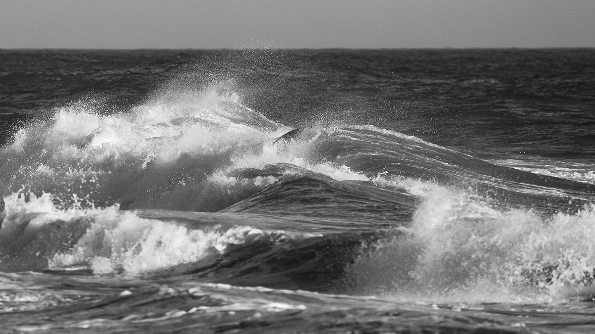 _L4A3456-1a.jpg : Wave