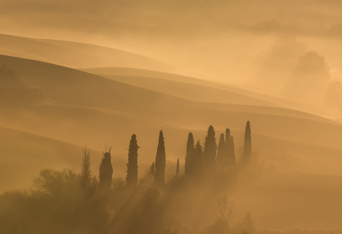 L1120457-3.jpg