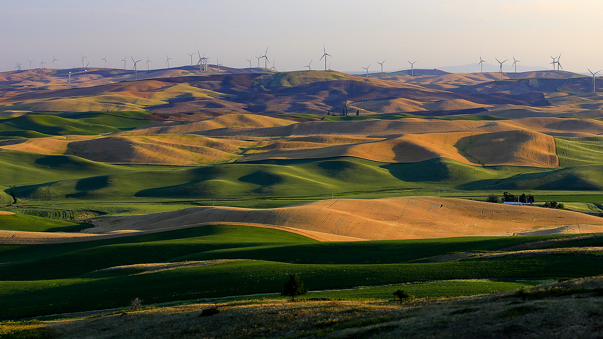 _MG_1723-1a.jpg : Palouse