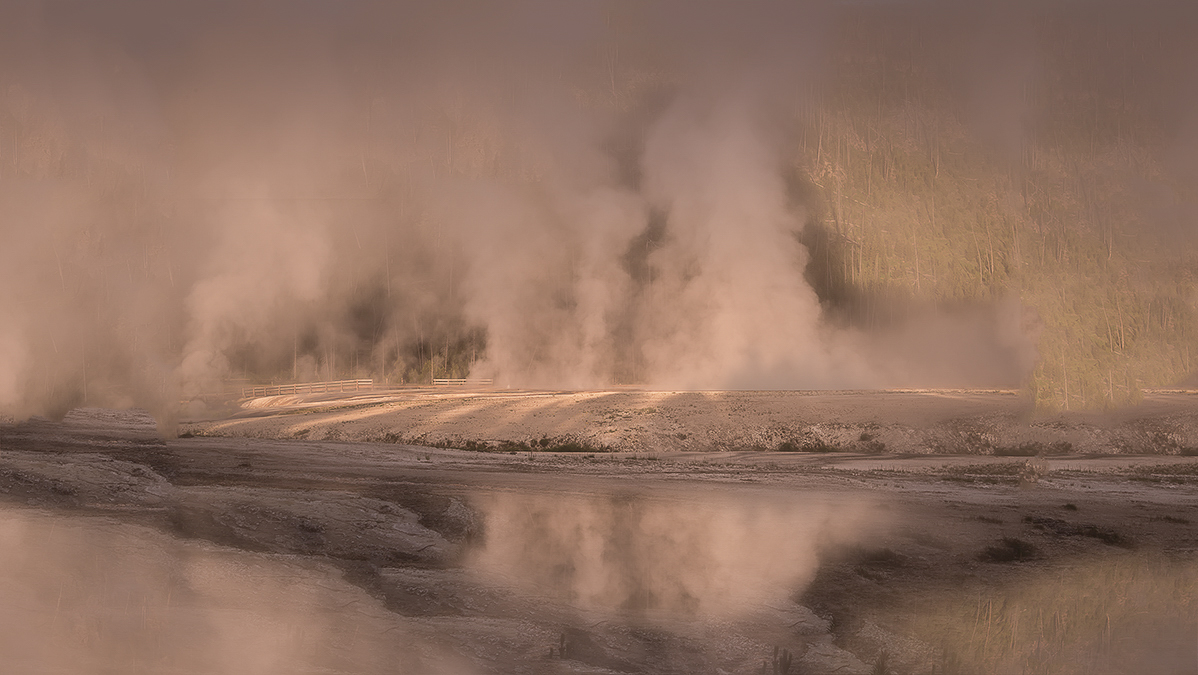 DSC_4601.jpg : Morning glory