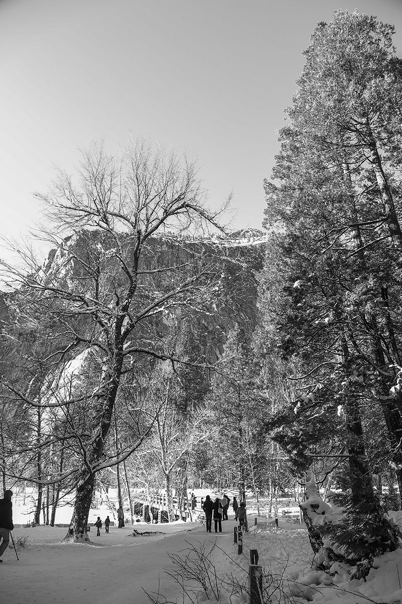 _MG_8727-1a.jpg : 눈내린 Yosemite