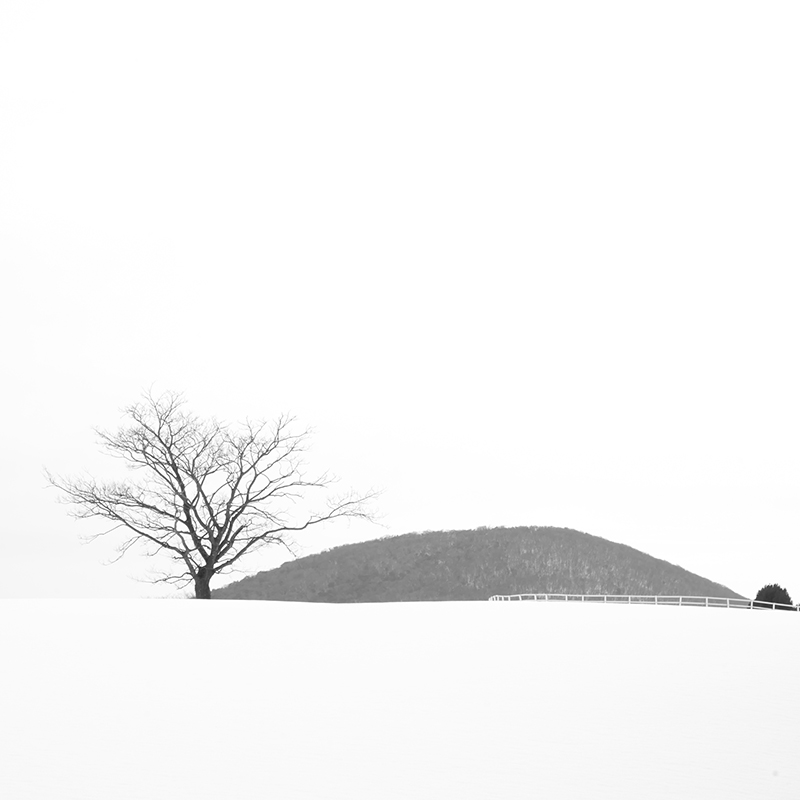 L1030724.jpg : 언덕넘어에