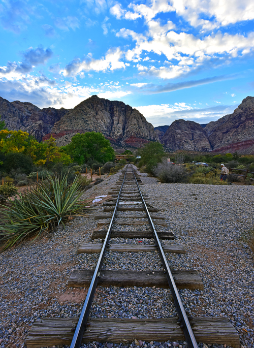 DSC_8695 PS Crop 500px.jpg : The Beaten Track