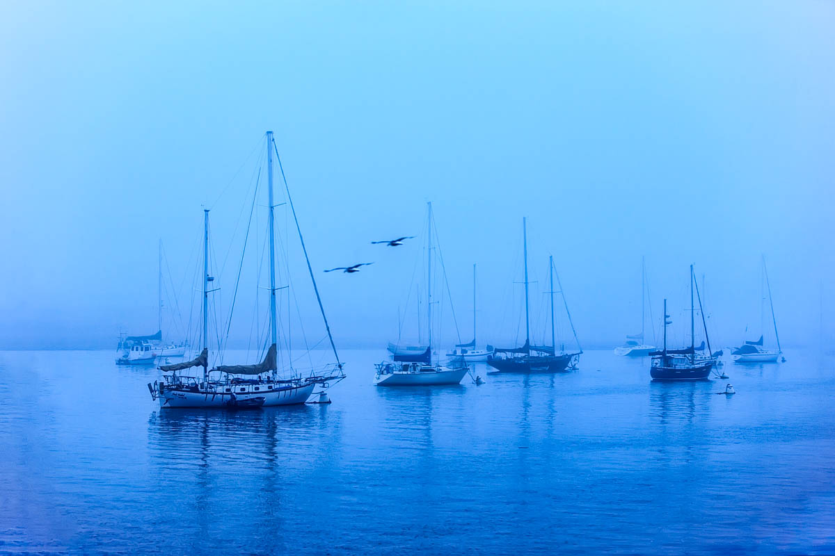 AB4W1841-Edit.jpg : Morro Bay