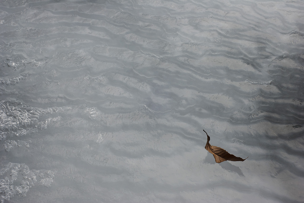 wDSC_2061.jpg : Nature paintings (Alone)