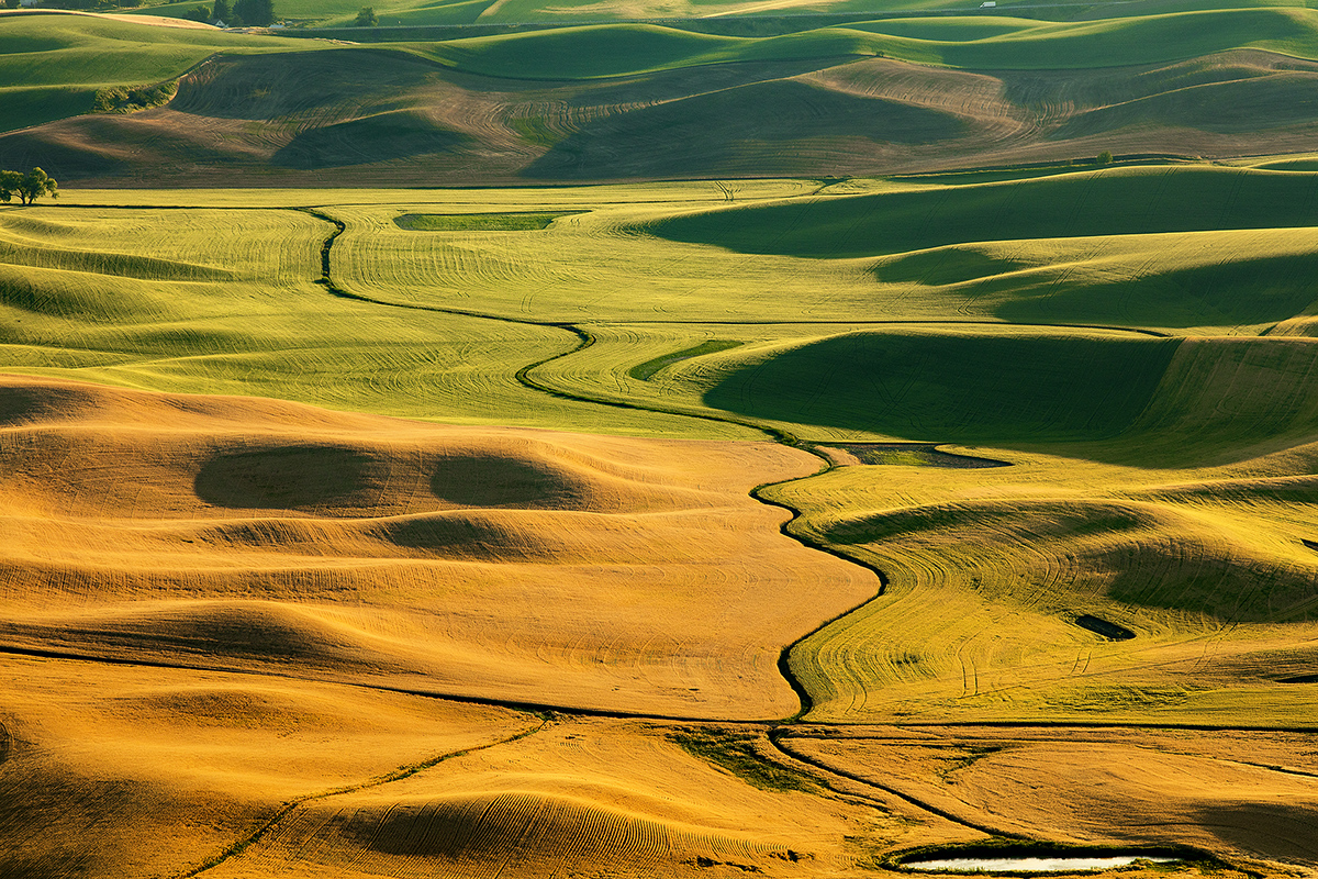7S5A1017-1a.jpg : Palouse 언덕 2