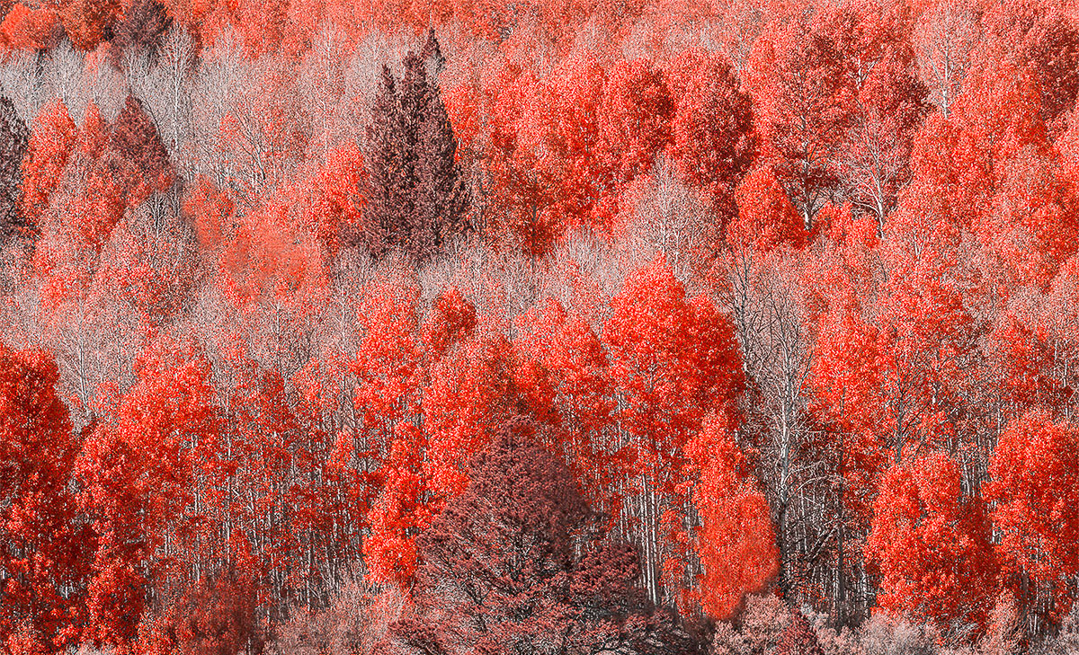 DSC_7593-Edit-2-2.jpg : 그 가을의 추억