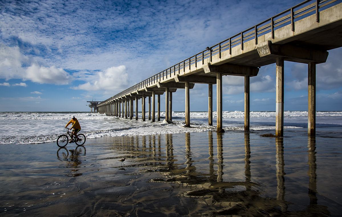 _YJL4344rnhsexps.jpg : scripps pier