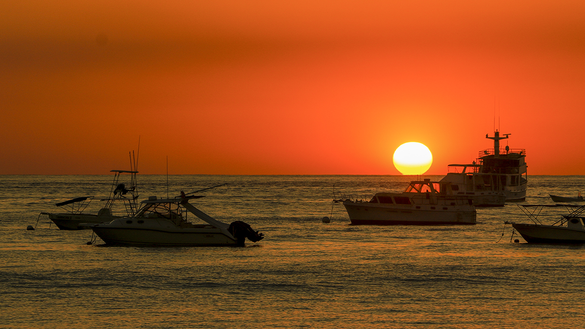 5I4A4789-4a.jpg : Costa Rica
