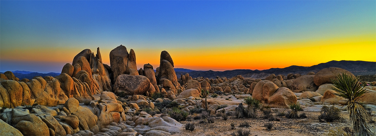 DSC_9323_6_7_8 EasyHD Crop 1200px.jpg : Sunset Colors