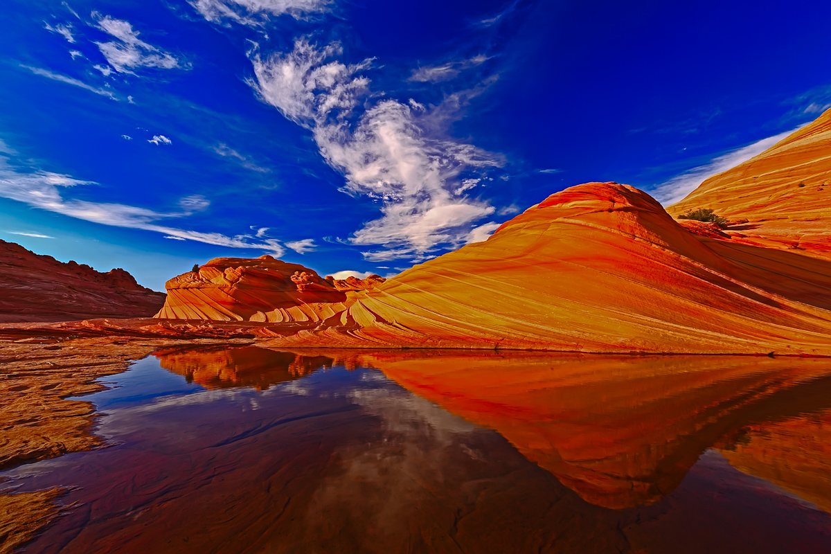 _93A8417-Edit-Edit.jpg : The Second Wave
