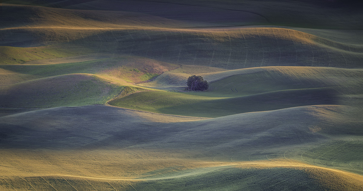 DSC_7731.tif 1.jpg : Rolling Hills...