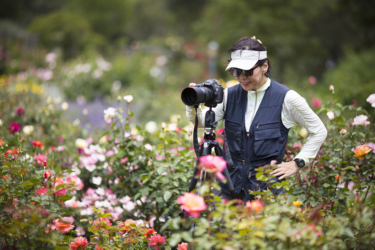 7S5A6296-1a.jpg : 예쁜이들...