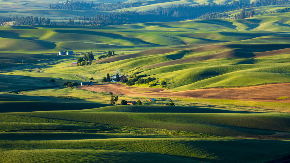 7S5A8928.jpg : Palouse, Washington