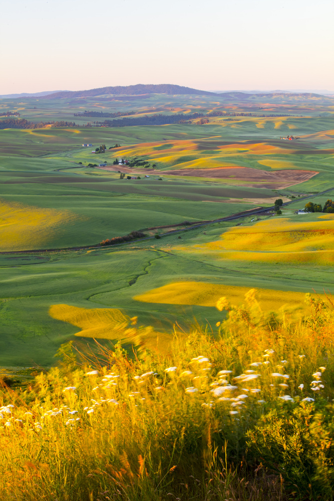 7S5A8768.jpg : Palouse, Washington