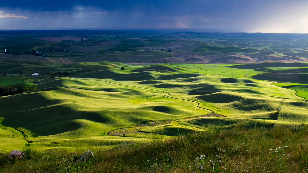 7S5A8575.jpg : Palouse, Washington