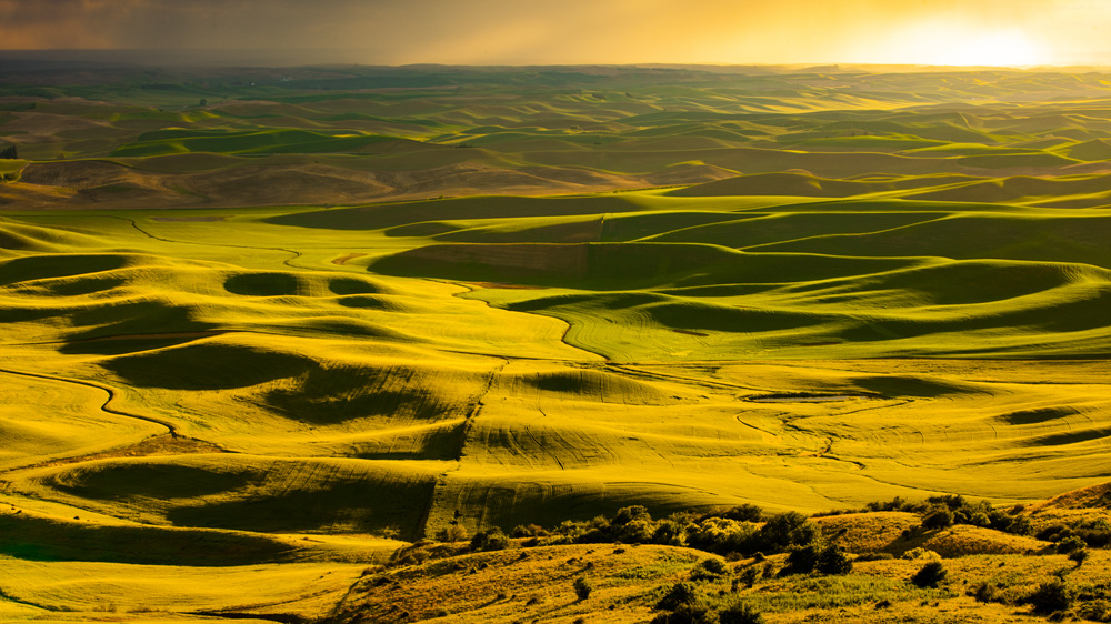 7S5A8586.jpg : Palouse, Washington