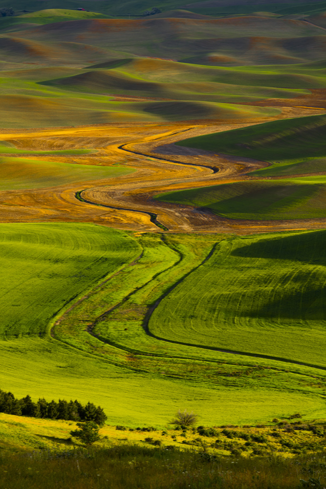 7S5A8518.jpg : Palouse, Washington